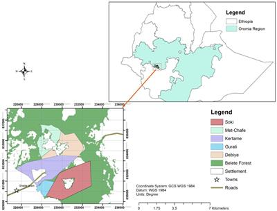 Woody plants diversity and the associated provisioning ecosystem services across three contrasting forest management regimes in Southwest Ethiopia